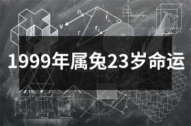 1999年属兔23岁命运