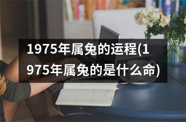 1975年属兔的运程(1975年属兔的是什么命)