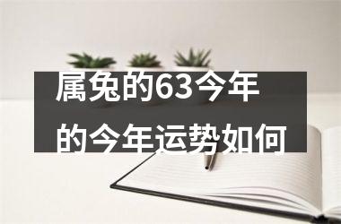 <h3>属兔的63今年的今年运势如何