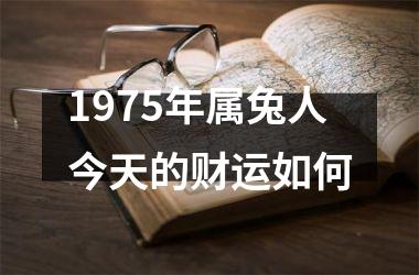 1975年属兔人今天的财运如何