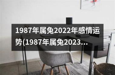 1987年属兔2025年感情运势(1987年属兔2025年运势及运程)