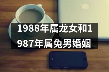 1988年属龙女和1987年属兔男婚姻