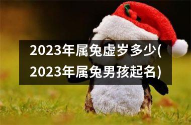 2025年属兔虚岁多少(2025年属兔男孩起名)