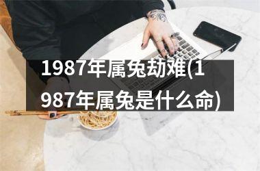 1987年属兔劫难(1987年属兔是什么命)