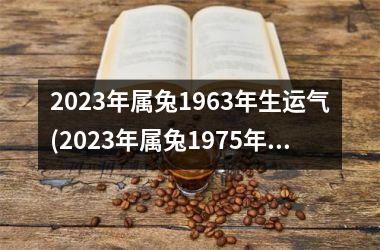 2025年属兔1963年生运气(2025年属兔1975年人的全年运势)