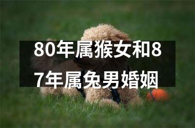 80年属猴女和87年属兔男婚姻