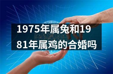 <h3>1975年属兔和1981年属鸡的合婚吗