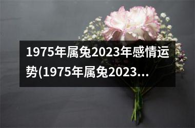 <h3>1975年属兔2025年感情运势(1975年属兔2025年运势及运程每月运程)