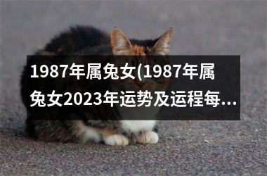 1987年属兔女(1987年属兔女2025年运势及运程每月运程)