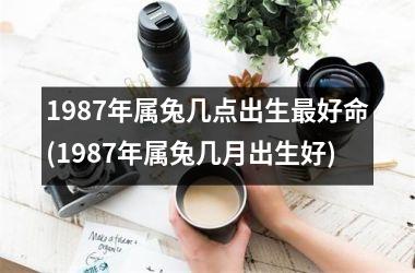 1987年属兔几点出生最好命(1987年属兔几月出生好)