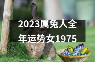2025属兔人全年运势女1975