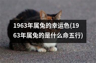 1963年属兔的幸运色(1963年属兔的是什么命五行)