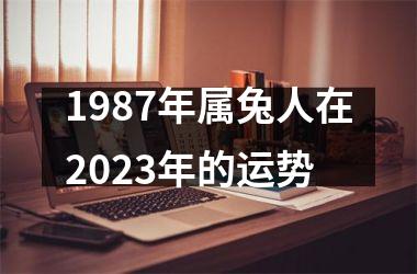 1987年属兔人在2025年的运势