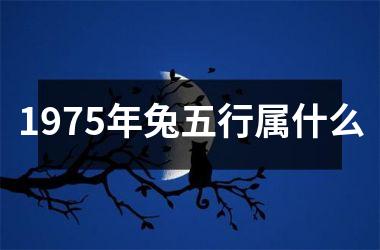 1975年兔五行属什么