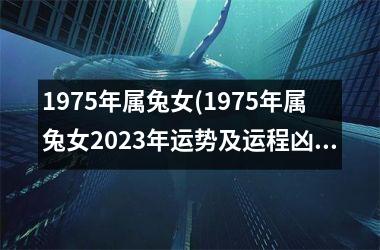 1975年属兔女(1975年属兔女2025年运势及运程凶与吉)