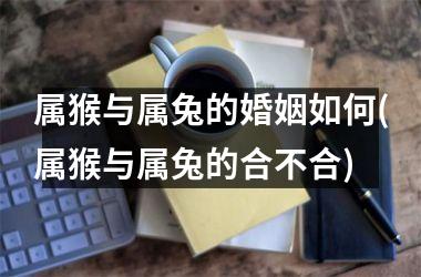 属猴与属兔的婚姻如何(属猴与属兔的合不合)