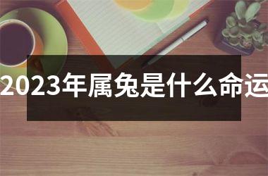 2025年属兔是什么命运