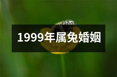 1999年属兔婚姻