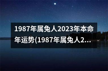 1987年属兔人2025年本命年运势(1987年属兔人2025年全年运势)