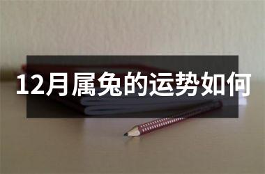 12月属兔的运势如何