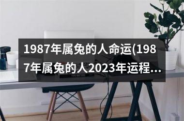 1987年属兔的人命运(1987年属兔的人2025年运程)