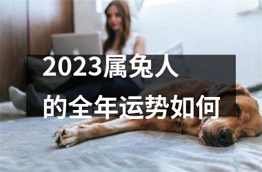 <h3>2025属兔人的全年运势如何