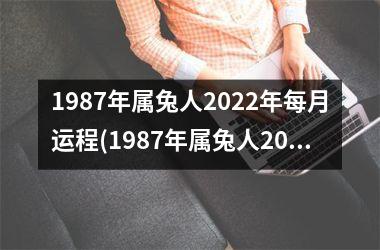 <h3>1987年属兔人2025年每月运程(1987年属兔人2025年全年运势)