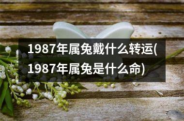 1987年属兔戴什么转运(1987年属兔是什么命)