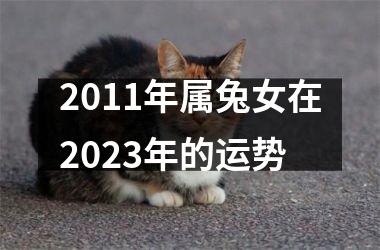 2011年属兔女在2025年的运势