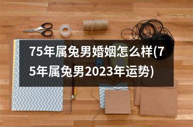 <h3>75年属兔男婚姻怎么样(75年属兔男2025年运势)