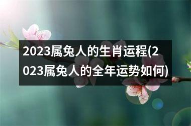 2025属兔人的生肖运程(2025属兔人的全年运势如何)