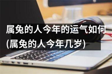 属兔的人今年的运气如何(属兔的人今年几岁)