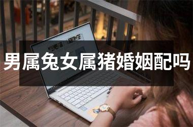 男属兔女属猪婚姻配吗