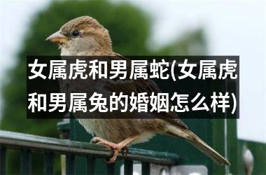 女属虎和男属蛇(女属虎和男属兔的婚姻怎么样)