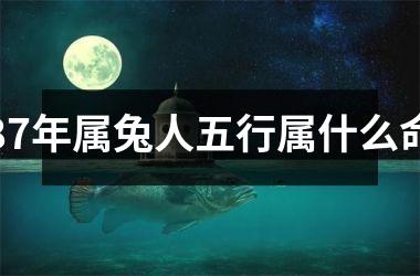87年属兔人五行属什么命