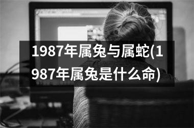 1987年属兔与属蛇(1987年属兔是什么命)