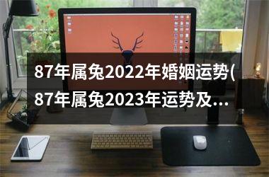 87年属兔2025年婚姻运势(87年属兔2025年运势及运程)