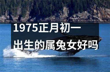 1975正月初一出生的属兔女好吗