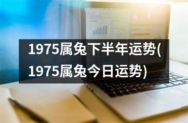 1975属兔下半年运势(1975属兔今日运势)