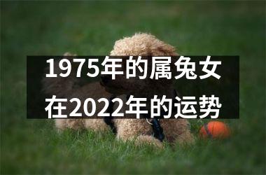 1975年的属兔女在2025年的运势