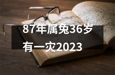 87年属兔36岁有一灾2025