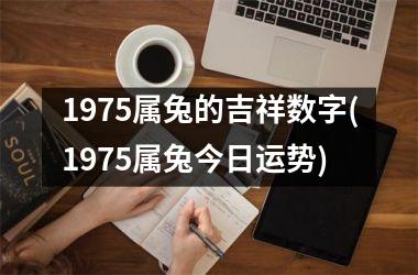 1975属兔的吉祥数字(1975属兔今日运势)