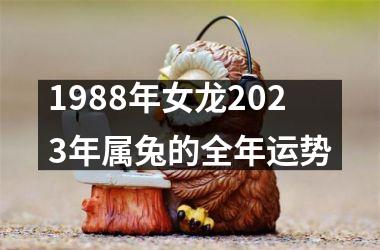 1988年女龙2025年属兔的全年运势