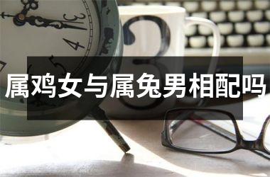 属鸡女与属兔男相配吗