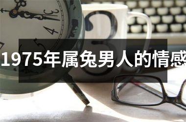 1975年属兔男人的情感
