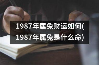 1987年属兔财运如何(1987年属兔是什么命)
