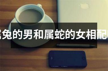 属兔的男和属蛇的女相配吗