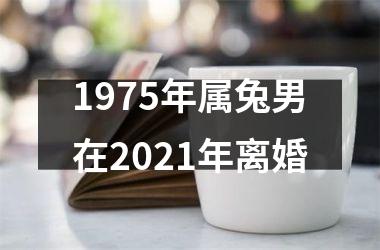 1975年属兔男在2025年离婚