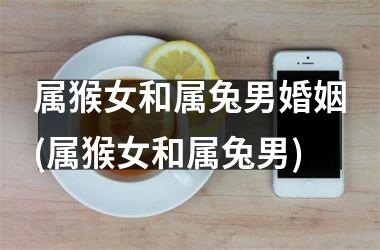 属猴女和属兔男婚姻(属猴女和属兔男)