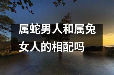 属蛇男人和属兔女人的相配吗